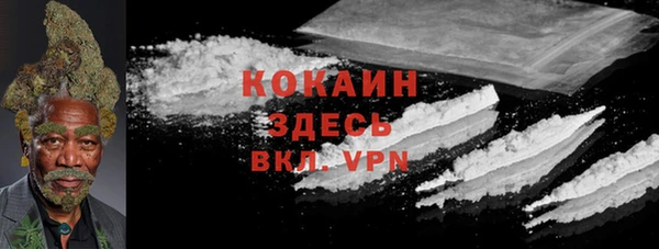 стафф Корсаков