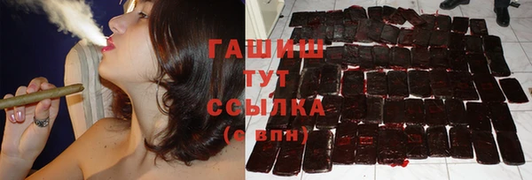прущие грибы Аркадак