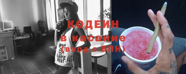 прущие грибы Аркадак