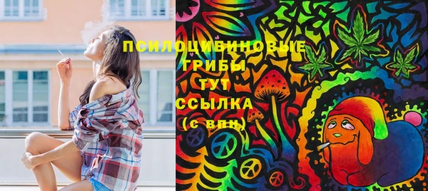 прущие грибы Аркадак
