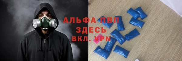 прущие грибы Аркадак