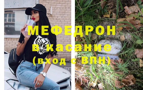 прущие грибы Аркадак