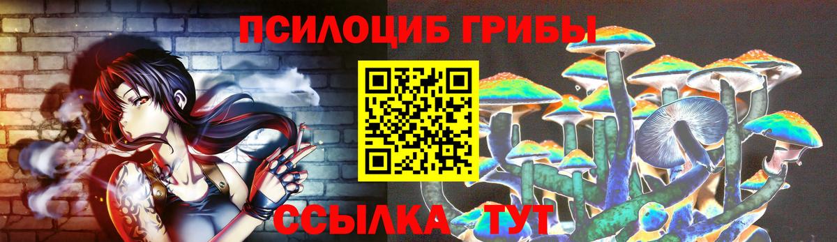 Галлюциногенные грибы прущие грибы  Вход с VPN  Туймазы 